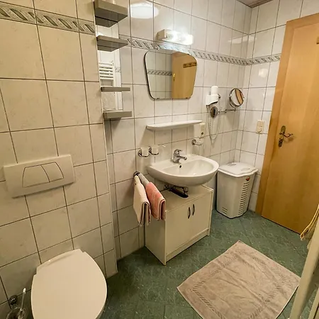 - Bei Martina Fuegenschuh -sommerbergbahn Inklusive - Ruhige Lage Direkt An Lift & Loipe Апартаменты